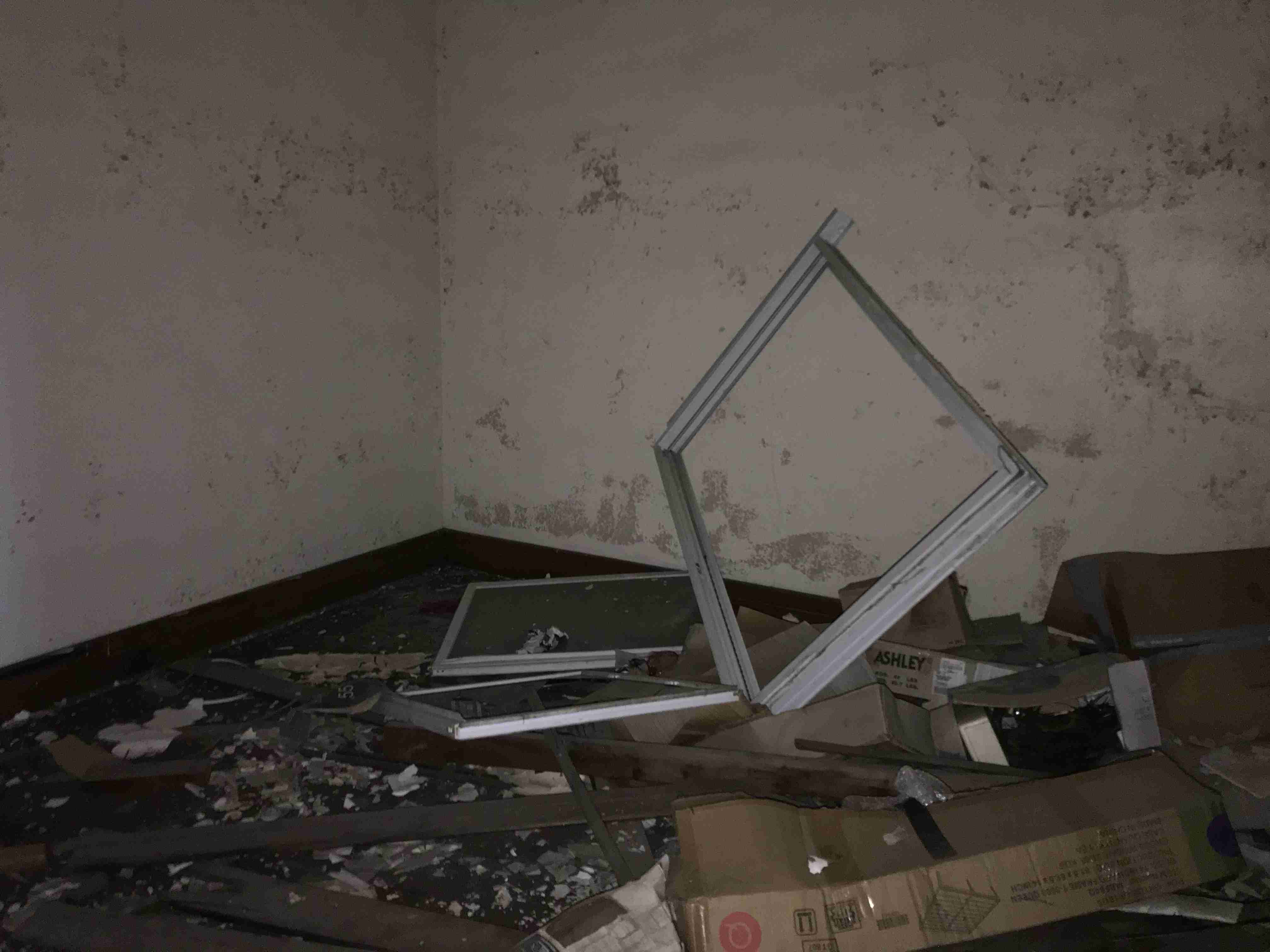 Photo Oct 13, 3 47 03 PM.jpg